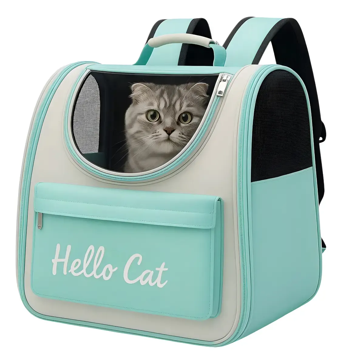 Mochila transportadora turquesa con ventana y un gato adentro